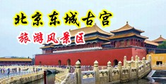 www.huangse中国北京-东城古宫旅游风景区